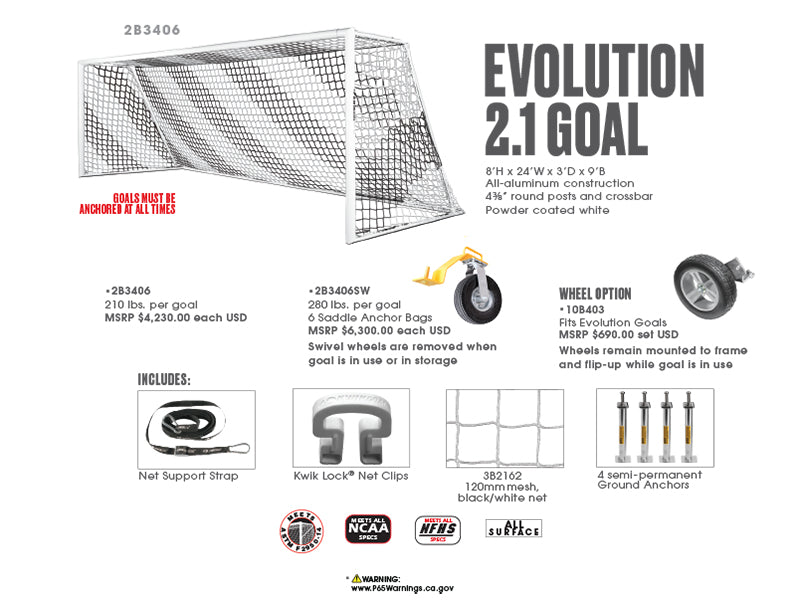 EVOLUTION 2.1 GOAL